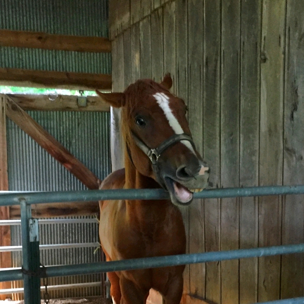 Meet your Posher, Lanie